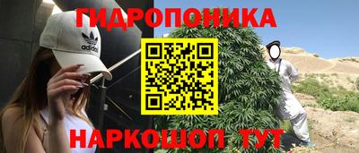 spice Мариинск