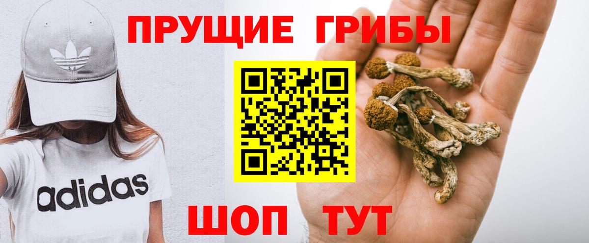 Галлюциногенные грибы Cubensis Чебоксары